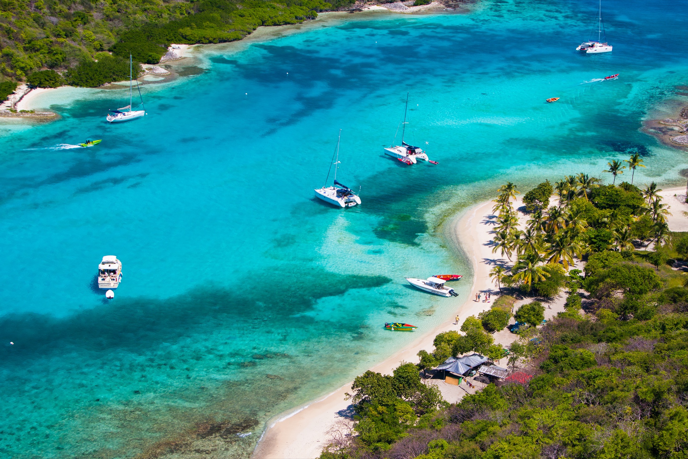 Boats and palm-lined beach in the Tobago Cays lagoon