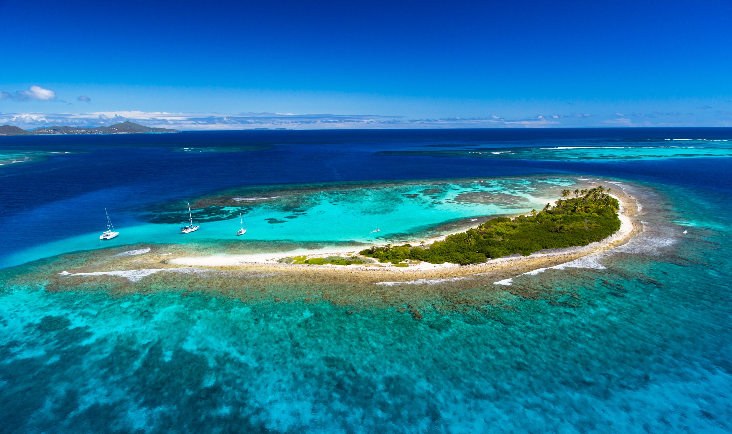 Aerial view of a palm-covered cay and reef in the Tobago Cays