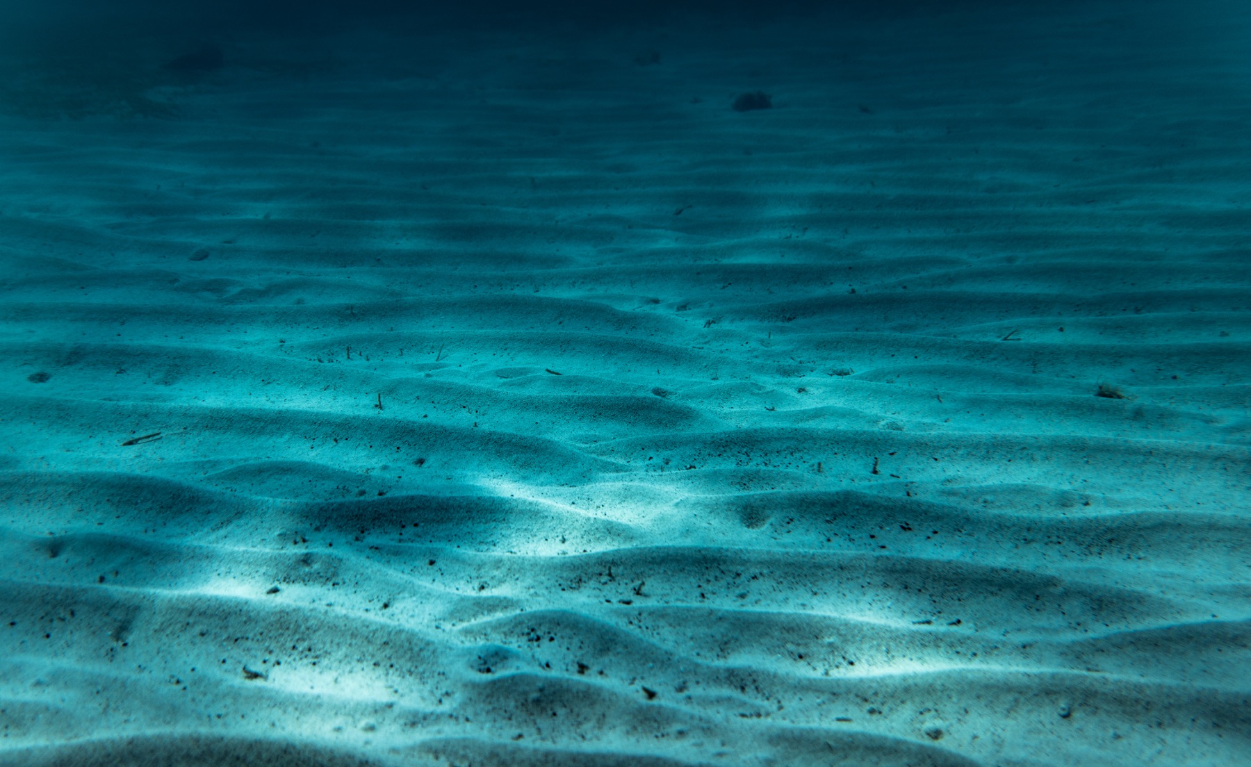 Underwater sand ripples in the clear lagoon of the Tobago Cays